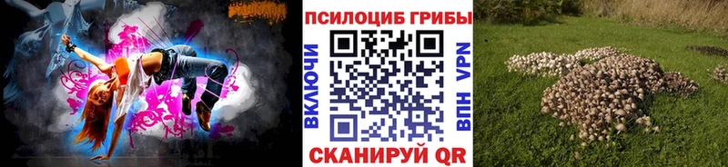 Купить  Верхний Уфалей  Галлюциногенные грибы Cubensis 